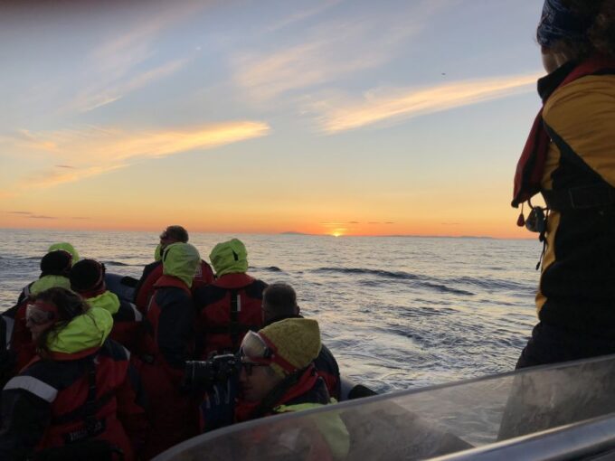 Reykjavik: Premium Whale and Puffin Watching Evening Tour - Transportation and Amenities