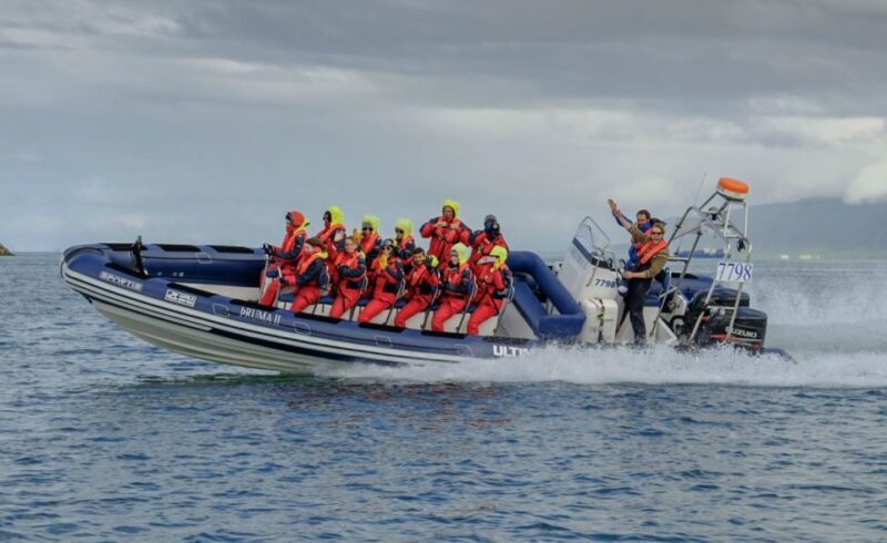 Reykjavik: Premium Whale Watching With Flexible Ticket - Whale Watching Experience