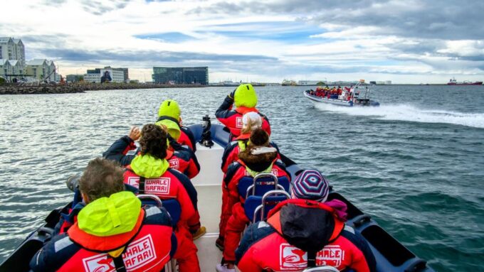 Reykjavik: Premium Whale Watching With Flexible Ticket - Frequently Asked Questions