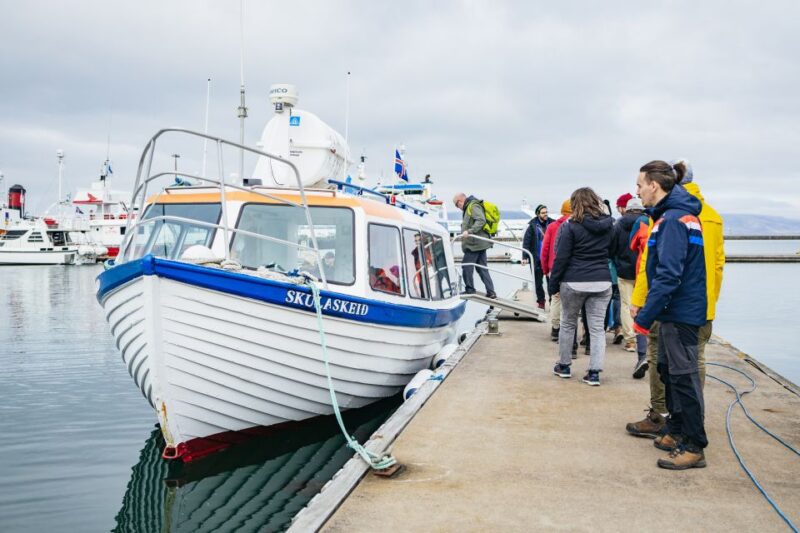 Reykjavik: Puffin Watching Boat Tour - Boat and Guide Details