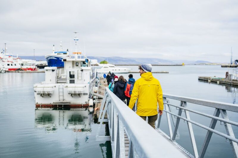 Reykjavik: Puffin Watching Boat Tour - Meeting Point and Assistance