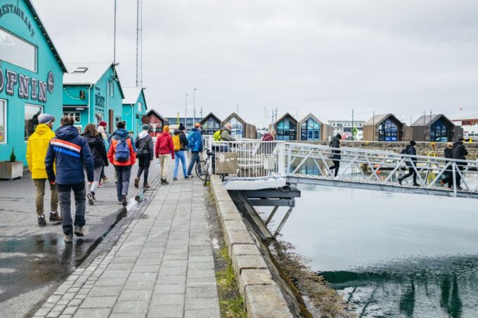 Reykjavik: Puffin Watching Boat Tour - Customer Ratings and Feedback