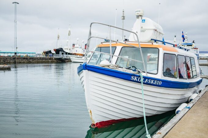 Reykjavik: Puffin Watching Boat Tour - Frequently Asked Questions