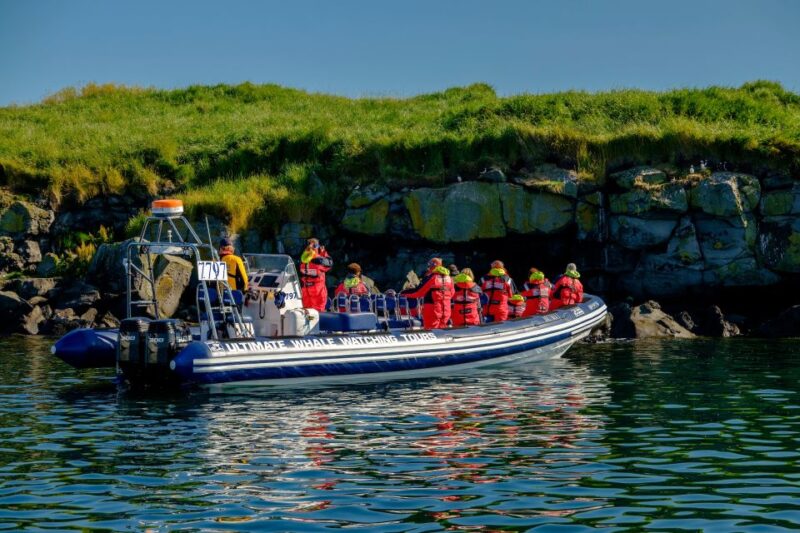Reykjavik: Puffin Watching Tour - Tour Details