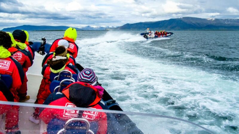 Reykjavik: Puffin Watching Tour - Wildlife and Scenery