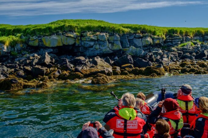Reykjavik: Puffin Watching Tour - Preparing for the Tour