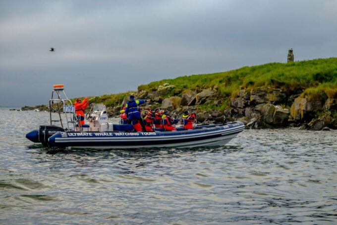 Reykjavik: Puffin Watching Tour - Frequently Asked Questions