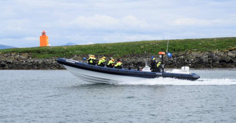 Reykjavik: Puffin Watching Tour by RIB Speedboat - Experience and Highlights