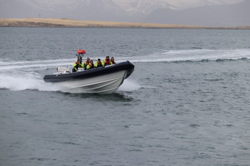 Reykjavik: Puffin Watching Tour by RIB Speedboat - Important Information