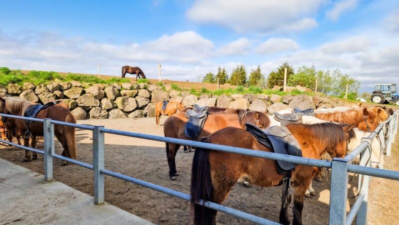 Reykjavik: Red Lava Horse Riding Tour - Included Equipment