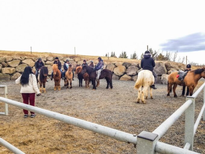 Reykjavik: Red Lava Horse Riding Tour - Frequently Asked Questions