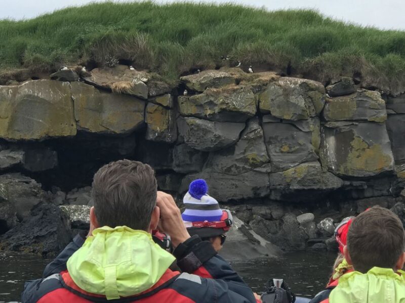 Reykjavík: RIB Speed-Boat Puffin Watching Tour - Important Information