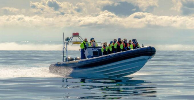 Reykjavík: RIB Speed-Boat Puffin Watching Tour - Coastal Sightseeing Cruise