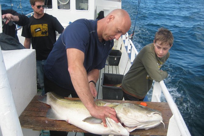 Reykjavik Sea Angling Gourmet - Fishing Experience