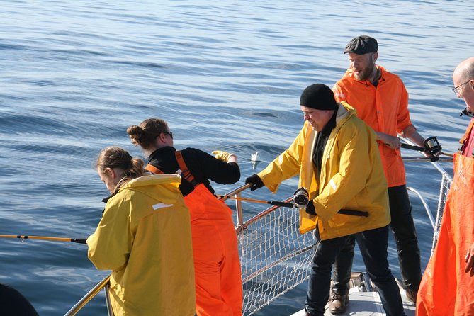 Reykjavik Sea Angling Gourmet - Meeting Point and Ticket Redemption