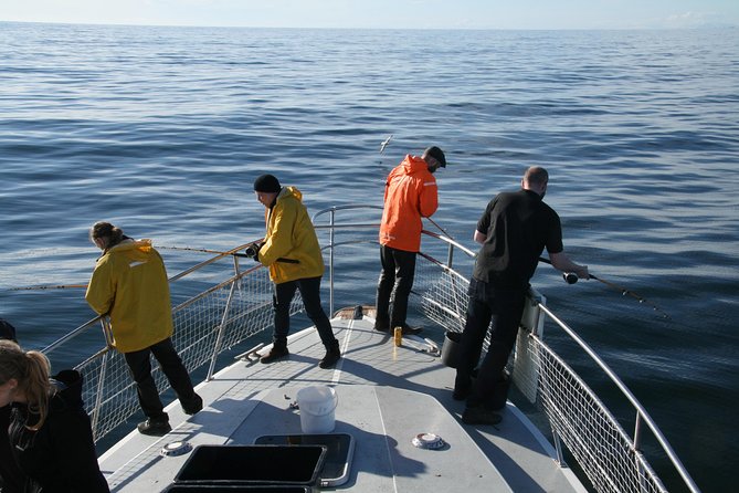 Reykjavik Sea Angling Gourmet - Maximum Participants and End Point