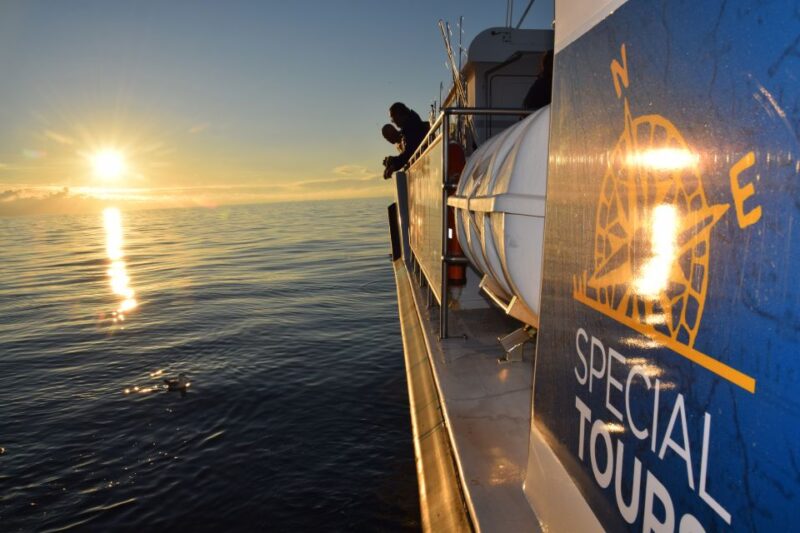 Reykjavik: Sea Fishing Boat Tour & BBQ With the Days Catch - Key Points