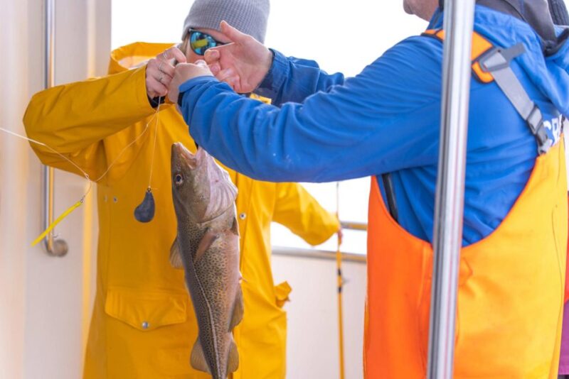 Reykjavik: Sea Fishing Boat Tour & BBQ With the Days Catch - Meeting Point and Transportation