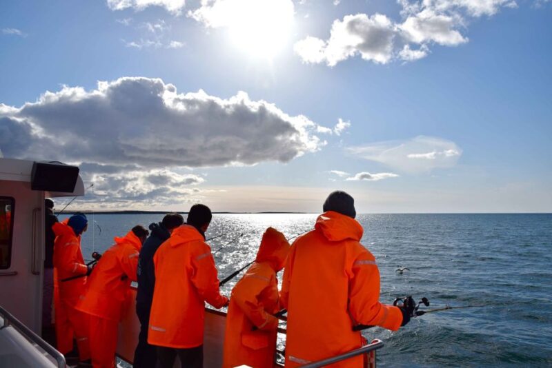 Reykjavik: Sea Fishing Boat Tour & BBQ With the Days Catch - Positive Feedback on Crew