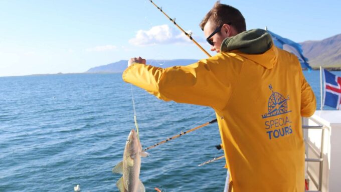 Reykjavik: Sea Fishing Boat Tour & BBQ With the Days Catch - Successful Fishing Catches