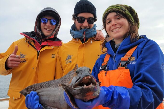 Reykjavik: Sea Fishing Boat Tour & BBQ With the Days Catch - Suggestions for Improvement