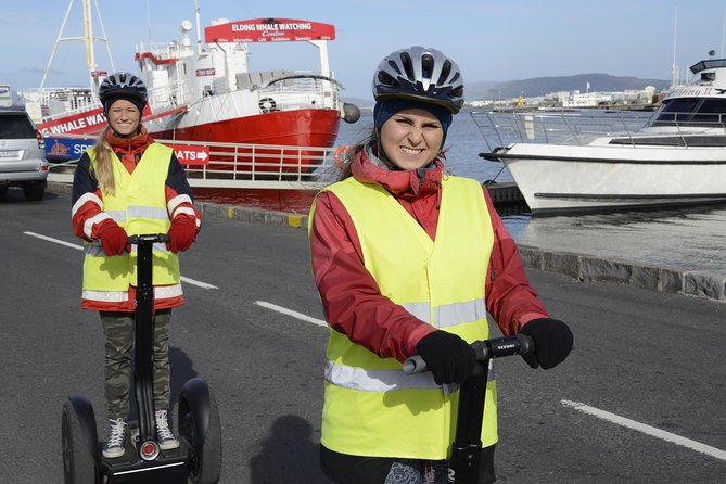 Reykjavik Segway Tour - Sightseeing by Segway