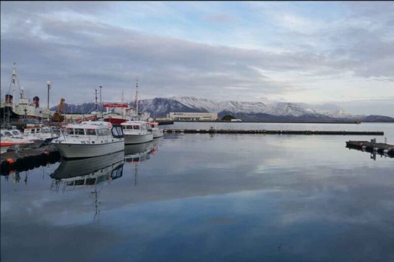 Reykjavik: Self-Guided Audio Walking Tour - Tour Details