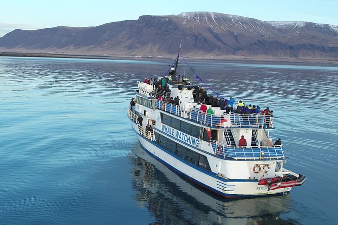 Reykjavik Shore Excursion: Whale-Watching Cruise - Tips for a Great Experience