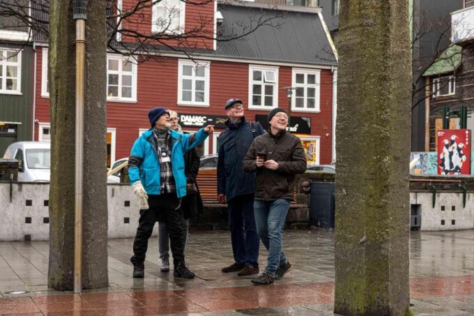 Reykjavik: Sightseeing Walking Tour With a Viking - Small Group Interactions
