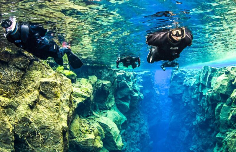 Reykjavík: Silfra Fissure Snorkeling Tour With Photo & Cocoa - Experience Highlights