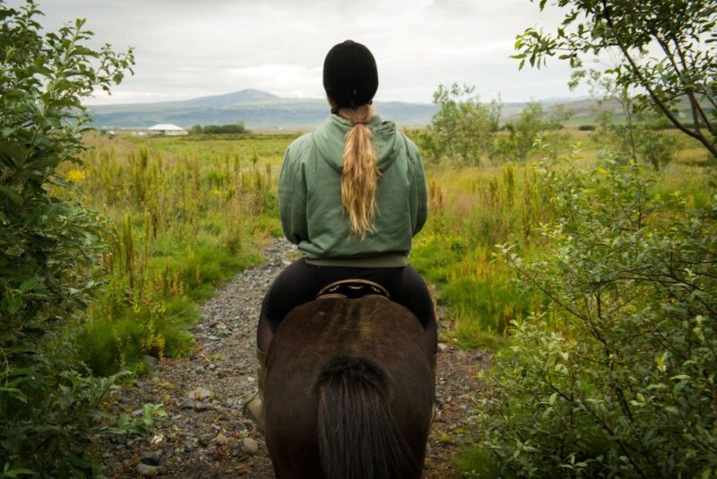 Reykjavik: Silfra Snorkel Tour and Horse Ride With Photos - Itinerary and Experience