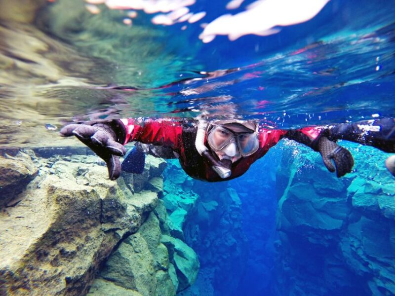 Reykjavik: Silfra Snorkel Tour and Horse Ride With Photos - Requirements and Restrictions