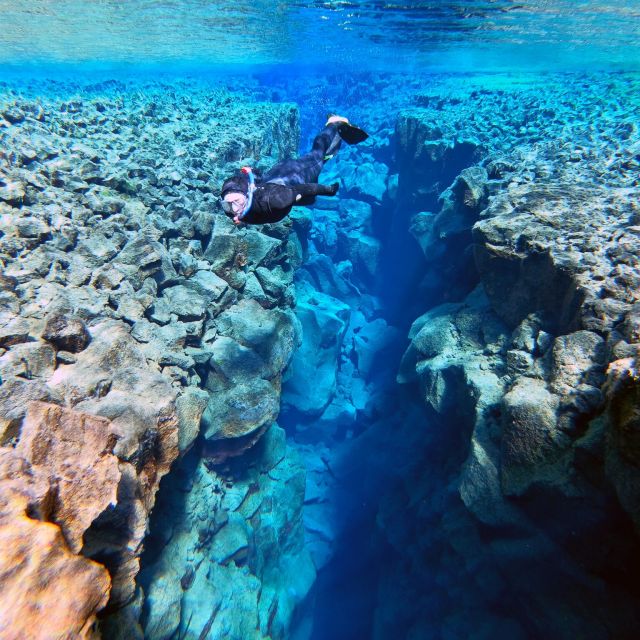 Reykjavik: Silfra Snorkel Tour and Horse Ride With Photos - Customer Reviews Summary