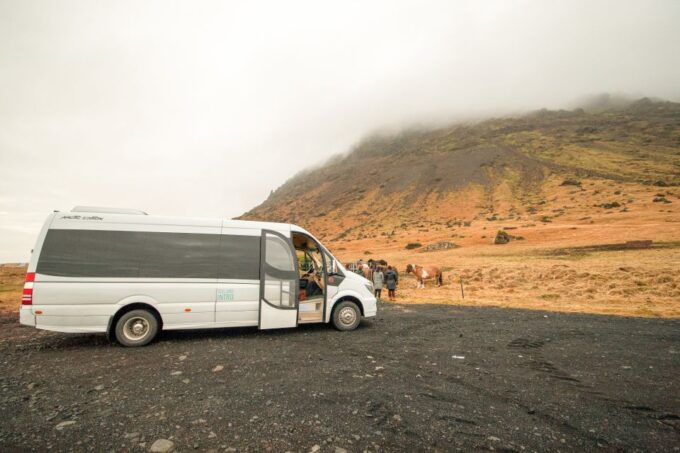 Reykjavik: Snaefellsnes & Mt. Kirkjufell Guided Minibus Tour - Customer Feedback