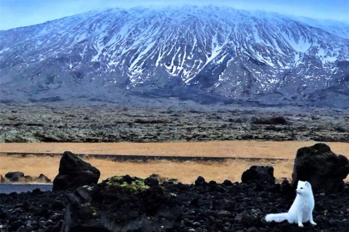 Reykjavik: Snaefellsnes & Mt. Kirkjufell Guided Minibus Tour - About the Region