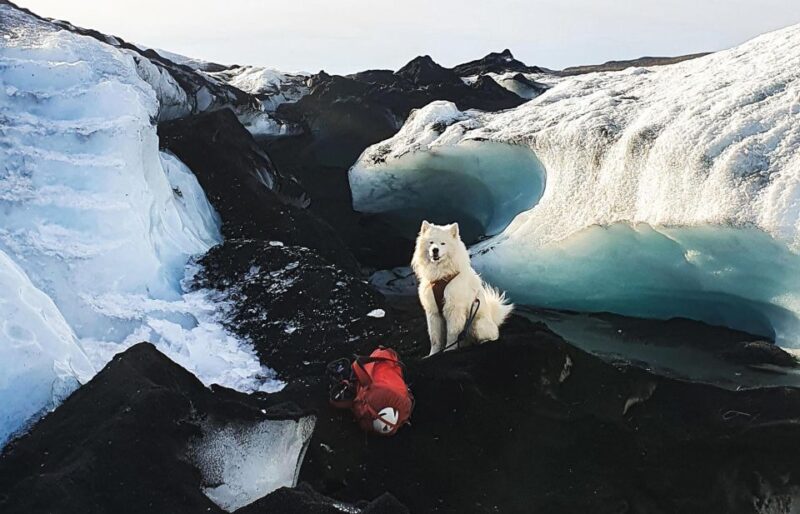 Reykjavik/Sólheimajökull: Glacier Hiking & Ice Climbing Trip - Glacial Hiking and Climbing