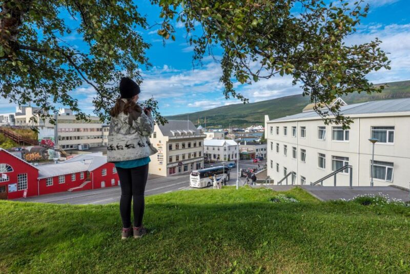 Reykjavik: Unveiling Iceland's Charismatic Capital Tour - Duration and Language
