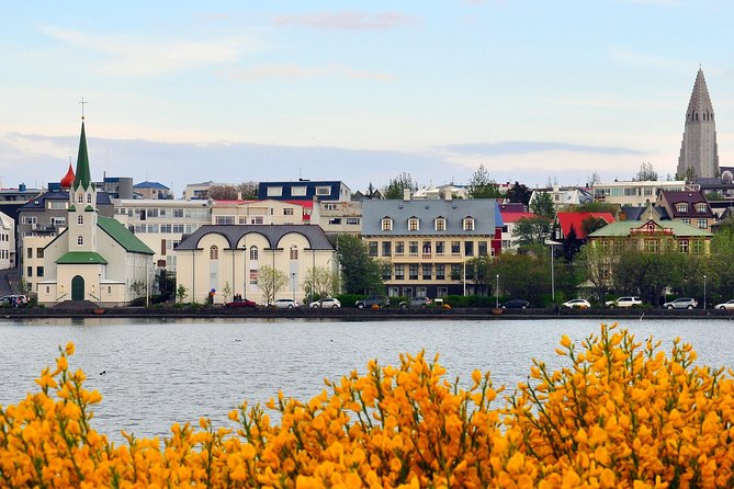 Reykjavik Walking Tour - Walk With a Viking - Accessibility