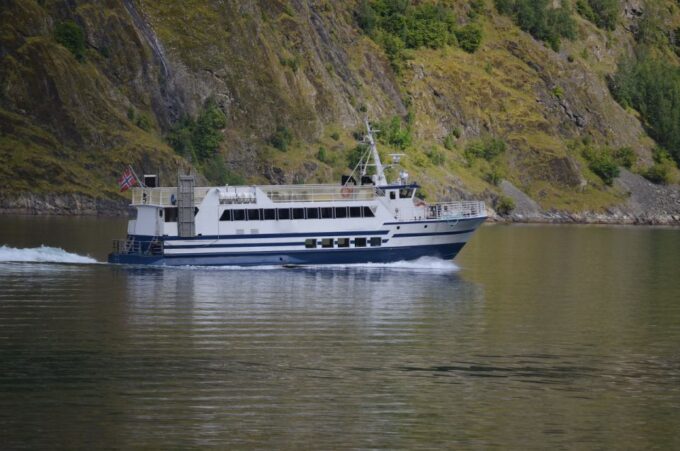 Reykjavik: Whale & Marine Adventure Tour - Frequently Asked Questions