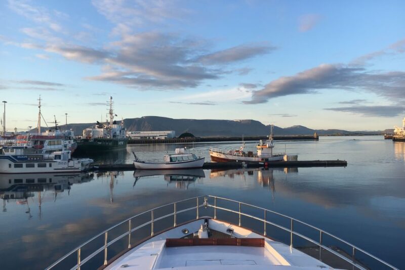 Reykjavik: Whale Watching and Dolphin Watching Yacht Cruise - Experience and Highlights
