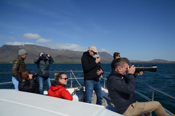 Reykjavik: Whale Watching and Dolphin Watching Yacht Cruise - Frequently Asked Questions