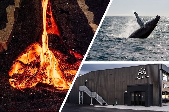 Reykjavik Whale Watching and Lava Show - Backstage Tour Option