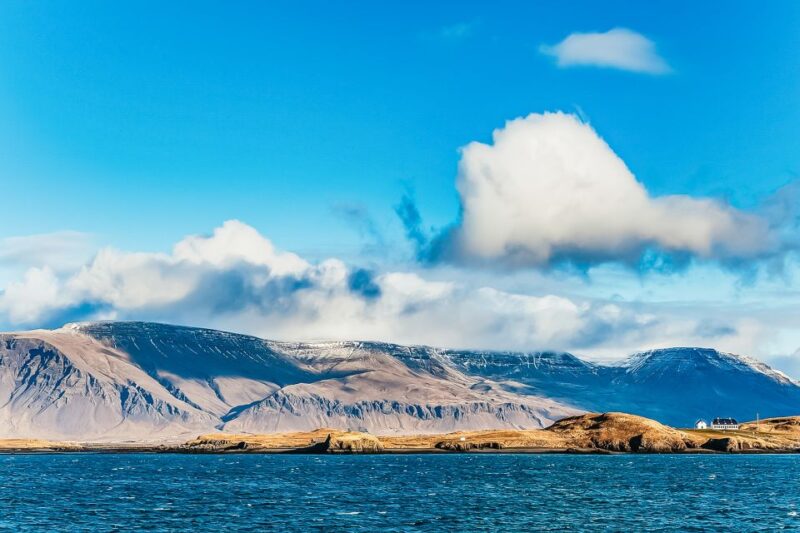 Reykjavík: Whale Watching and Marine Life Cruise - Diverse Marine Life