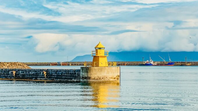 Reykjavík: Whale Watching and Marine Life Cruise - Onboard Refreshments