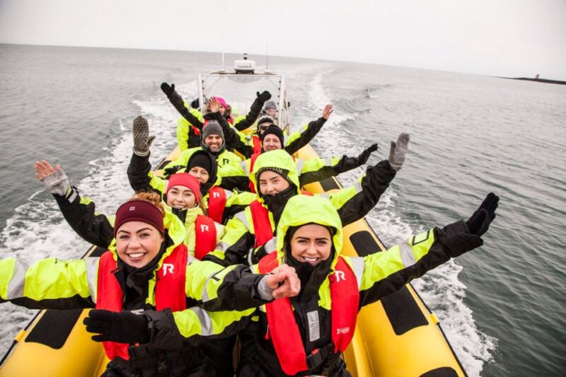 Reykjavik: Whale Watching by RIB Speedboat - Meeting Point and Logistics