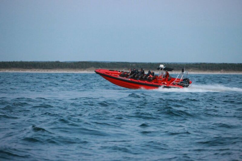 Reykjavik: Whale Watching by RIB Speedboat - Participant Restrictions