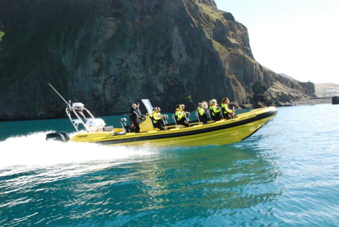 Reykjavik: Whale Watching by RIB Speedboat - Weather Dependency