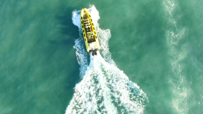 Reykjavik: Whale Watching by RIB Speedboat - Frequently Asked Questions
