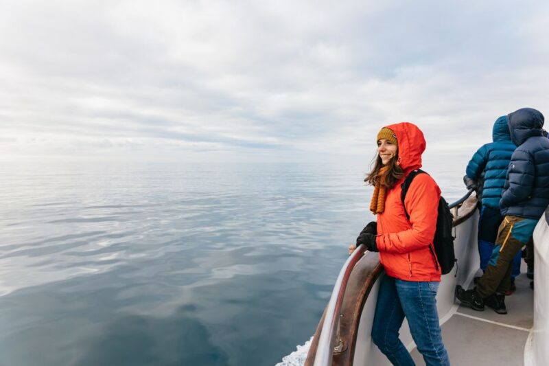 Reykjavík: Whale Watching Cruise on the Amelia Rose Yacht - Customer Feedback and Ratings