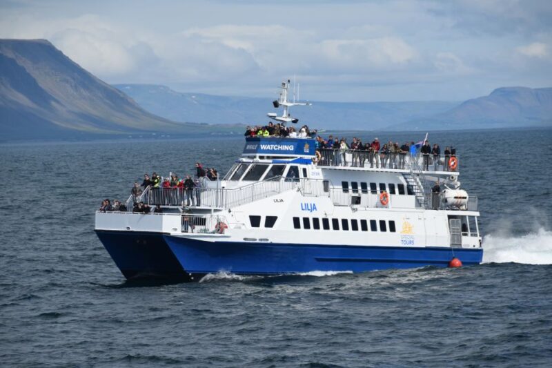 Reykjavik: Whale Watching Tour by Fast Catamaran - Comfort and Speed